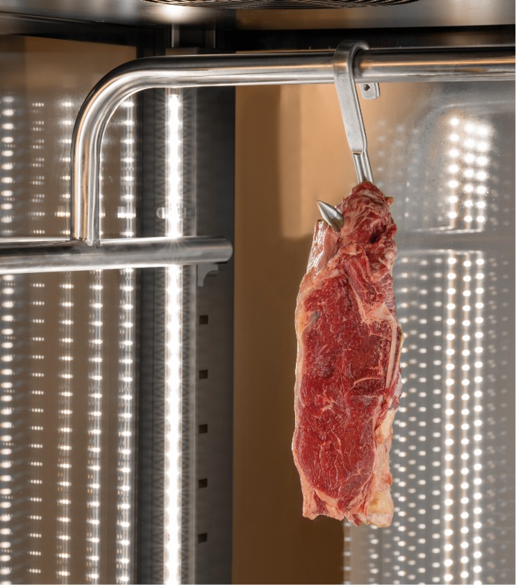 Meat Dry Aging Fridges